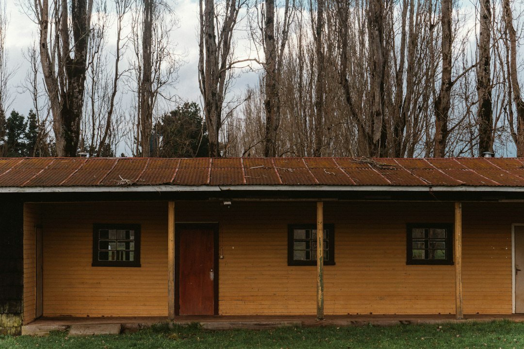 Rural wooden houses in the forests of southern Chile