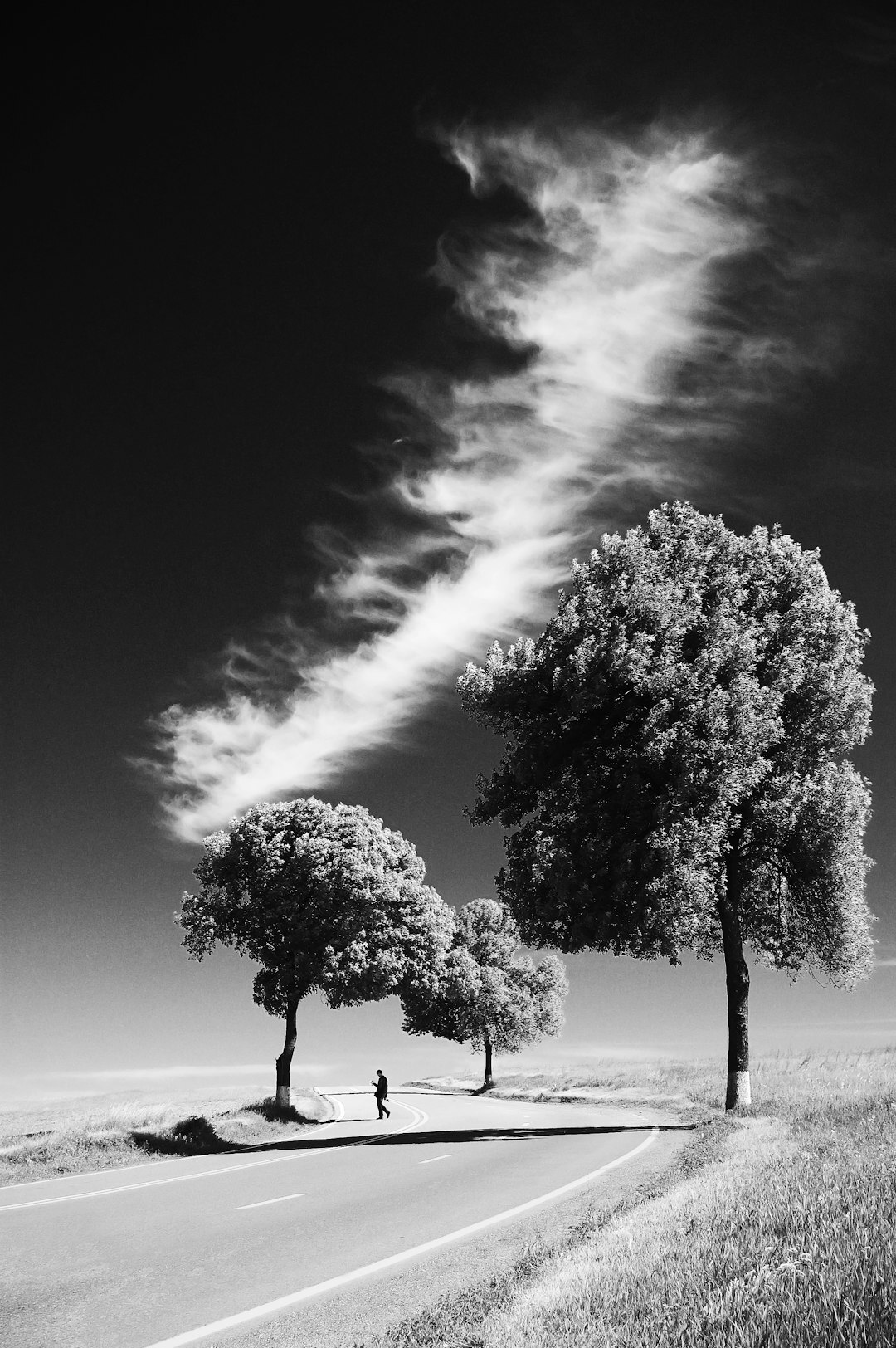 black and white photography